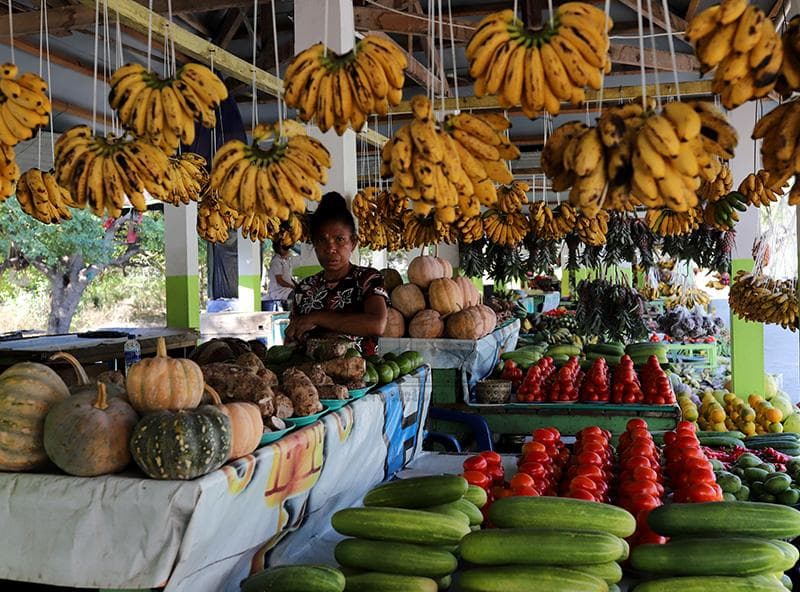 Inflasaun iha Timor-Leste Sa'e Fali iha Fulan-Maiu 2026, Transporte no Foos Sai Fator Prinsipál